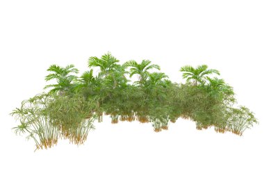 Beyaz arka planda palmiye ağaçları olan tropikal orman manzarası