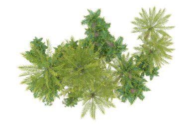 Beyaz arka planda palmiye ağaçları olan tropikal orman manzarası