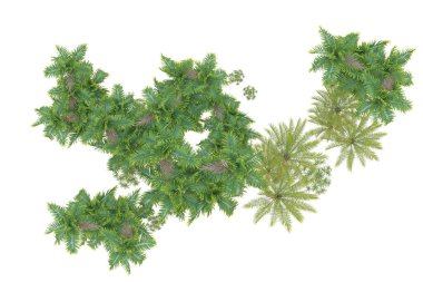 Beyaz arka planda palmiye ağaçları olan tropikal orman manzarası