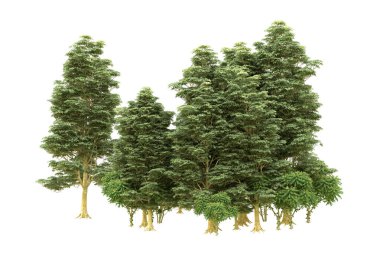 Orman beyaz arka planda izole edilmiş. 3d görüntüleme - illüstrasyon