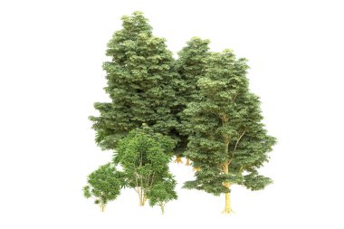 Orman beyaz arka planda izole edilmiş. 3d görüntüleme - illüstrasyon