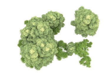 Orman beyaz arka planda izole edilmiş. 3d görüntüleme - illüstrasyon