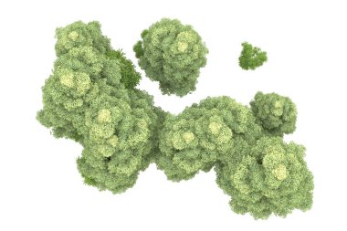 Orman beyaz arka planda izole edilmiş. 3d görüntüleme - illüstrasyon