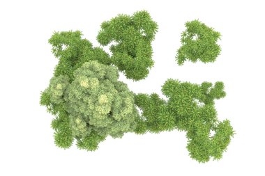 Orman beyaz arka planda izole edilmiş. 3d görüntüleme - illüstrasyon