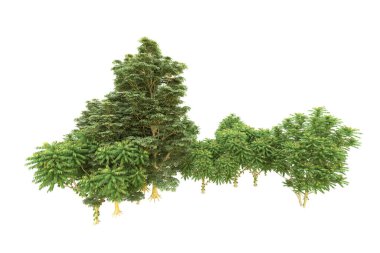 Orman beyaz arka planda izole edilmiş. 3d görüntüleme - illüstrasyon