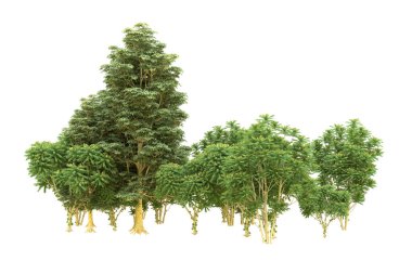 Orman beyaz arka planda izole edilmiş. 3d görüntüleme - illüstrasyon