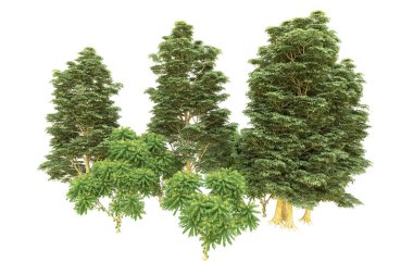 Orman beyaz arka planda izole edilmiş. 3d görüntüleme - illüstrasyon