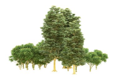 Orman beyaz arka planda izole edilmiş. 3d görüntüleme - illüstrasyon