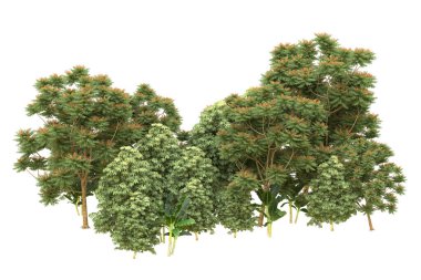 Orman beyaz arka planda izole edilmiş. 3d görüntüleme - illüstrasyon