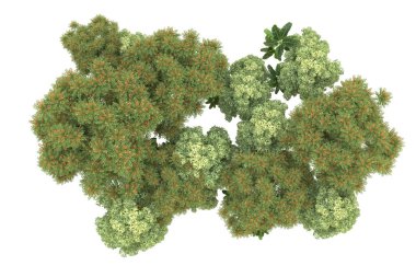 Orman beyaz arka planda izole edilmiş. 3d görüntüleme - illüstrasyon
