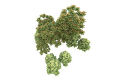 Orman beyaz arka planda izole edilmiş. 3d görüntüleme - illüstrasyon