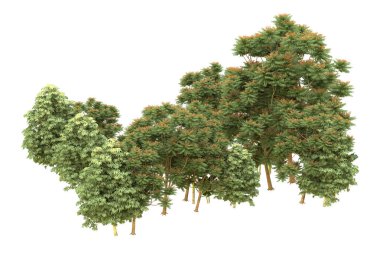 Orman beyaz arka planda izole edilmiş. 3d görüntüleme - illüstrasyon