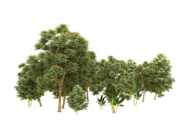 Orman beyaz arka planda izole edilmiş. 3d görüntüleme - illüstrasyon