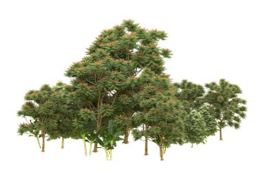 Orman beyaz arka planda izole edilmiş. 3d görüntüleme - illüstrasyon