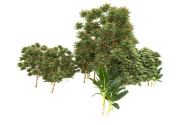 Orman beyaz arka planda izole edilmiş. 3d görüntüleme - illüstrasyon