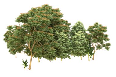 Orman arka planda izole edilmiş. 3d görüntüleme - illüstrasyon