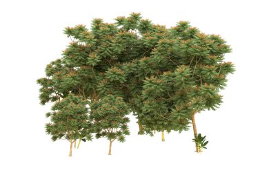 Orman arka planda izole edilmiş. 3d görüntüleme - illüstrasyon