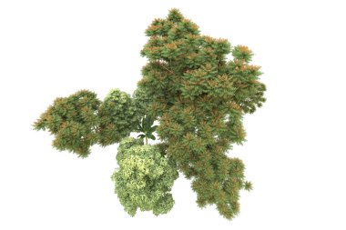 Orman arka planda izole edilmiş. 3d görüntüleme - illüstrasyon