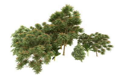 Orman arka planda izole edilmiş. 3d görüntüleme - illüstrasyon