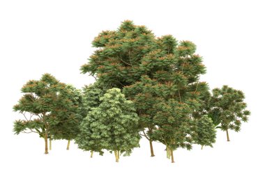 Orman arka planda izole edilmiş. 3d görüntüleme - illüstrasyon