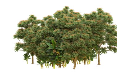 Orman arka planda izole edilmiş. 3d görüntüleme - illüstrasyon