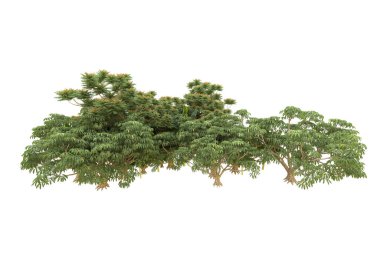 Orman arka planda izole edilmiş. 3d görüntüleme - illüstrasyon