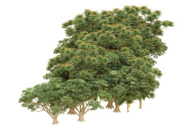 Orman arka planda izole edilmiş. 3d görüntüleme - illüstrasyon