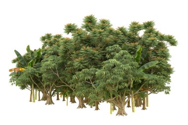 Orman arka planda izole edilmiş. 3d görüntüleme - illüstrasyon