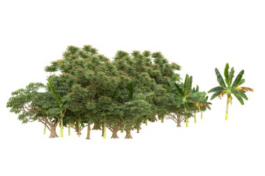 Orman arka planda izole edilmiş. 3d görüntüleme - illüstrasyon