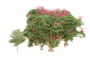 Orman arka planda izole edilmiş. 3d görüntüleme - illüstrasyon