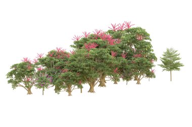 Orman arka planda izole edilmiş. 3d görüntüleme - illüstrasyon