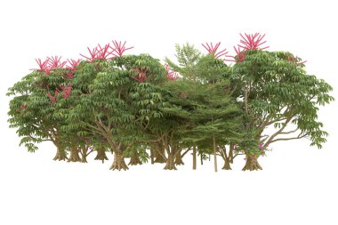 Orman arka planda izole edilmiş. 3d görüntüleme - illüstrasyon