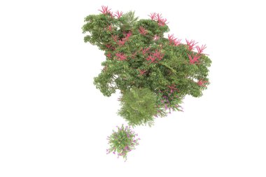 Orman arka planda izole edilmiş. 3d görüntüleme - illüstrasyon