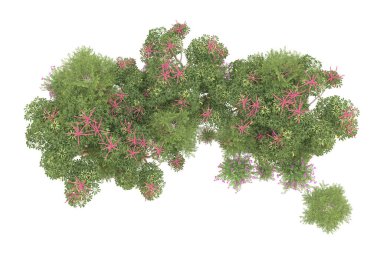 Orman arka planda izole edilmiş. 3d görüntüleme - illüstrasyon