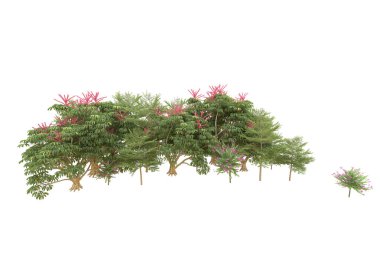 Orman arka planda izole edilmiş. 3d görüntüleme - illüstrasyon