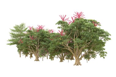 Orman arka planda izole edilmiş. 3d görüntüleme - illüstrasyon