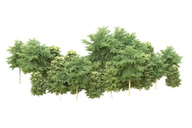 Orman arka planda izole edilmiş. 3d görüntüleme - illüstrasyon