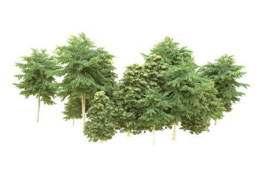 Orman arka planda izole edilmiş. 3d görüntüleme - illüstrasyon