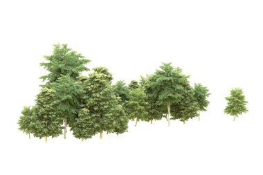 Orman arka planda izole edilmiş. 3d görüntüleme - illüstrasyon