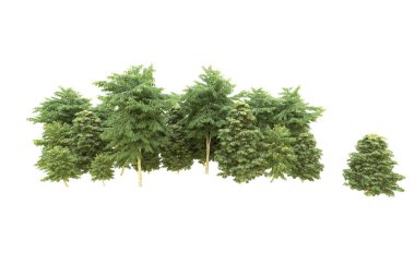 Orman beyaz arka planda izole edilmiş. 3d görüntüleme - illüstrasyon