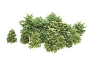 Orman beyaz arka planda izole edilmiş. 3d görüntüleme - illüstrasyon