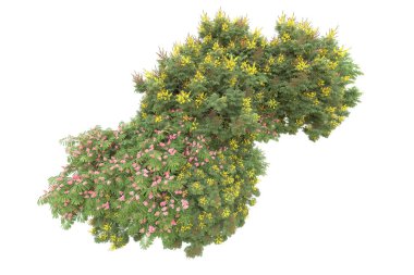 Orman beyaz arka planda izole edilmiş. 3d görüntüleme - illüstrasyon