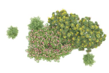 Orman beyaz arka planda izole edilmiş. 3d görüntüleme - illüstrasyon