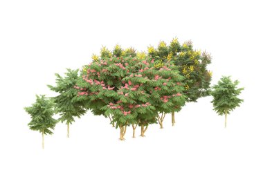 Orman beyaz arka planda izole edilmiş. 3d görüntüleme - illüstrasyon