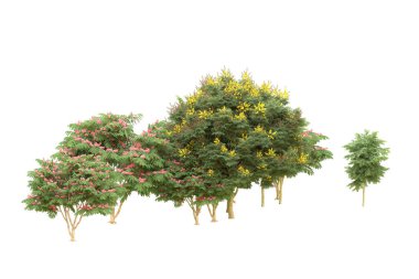 Orman beyaz arka planda izole edilmiş. 3d görüntüleme - illüstrasyon