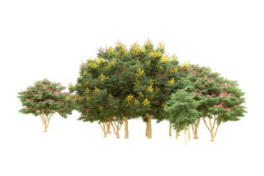 Orman beyaz arka planda izole edilmiş. 3d görüntüleme - illüstrasyon