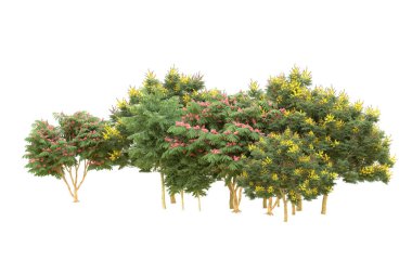 Orman beyaz arka planda izole edilmiş. 3d görüntüleme - illüstrasyon