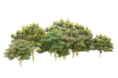 Orman beyaz arka planda izole edilmiş. 3d görüntüleme - illüstrasyon