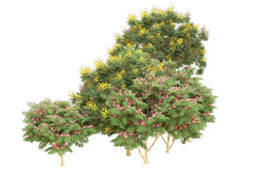 Orman beyaz arka planda izole edilmiş. 3d görüntüleme - illüstrasyon