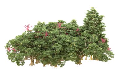 Orman beyaz arka planda izole edilmiş. 3d görüntüleme - illüstrasyon